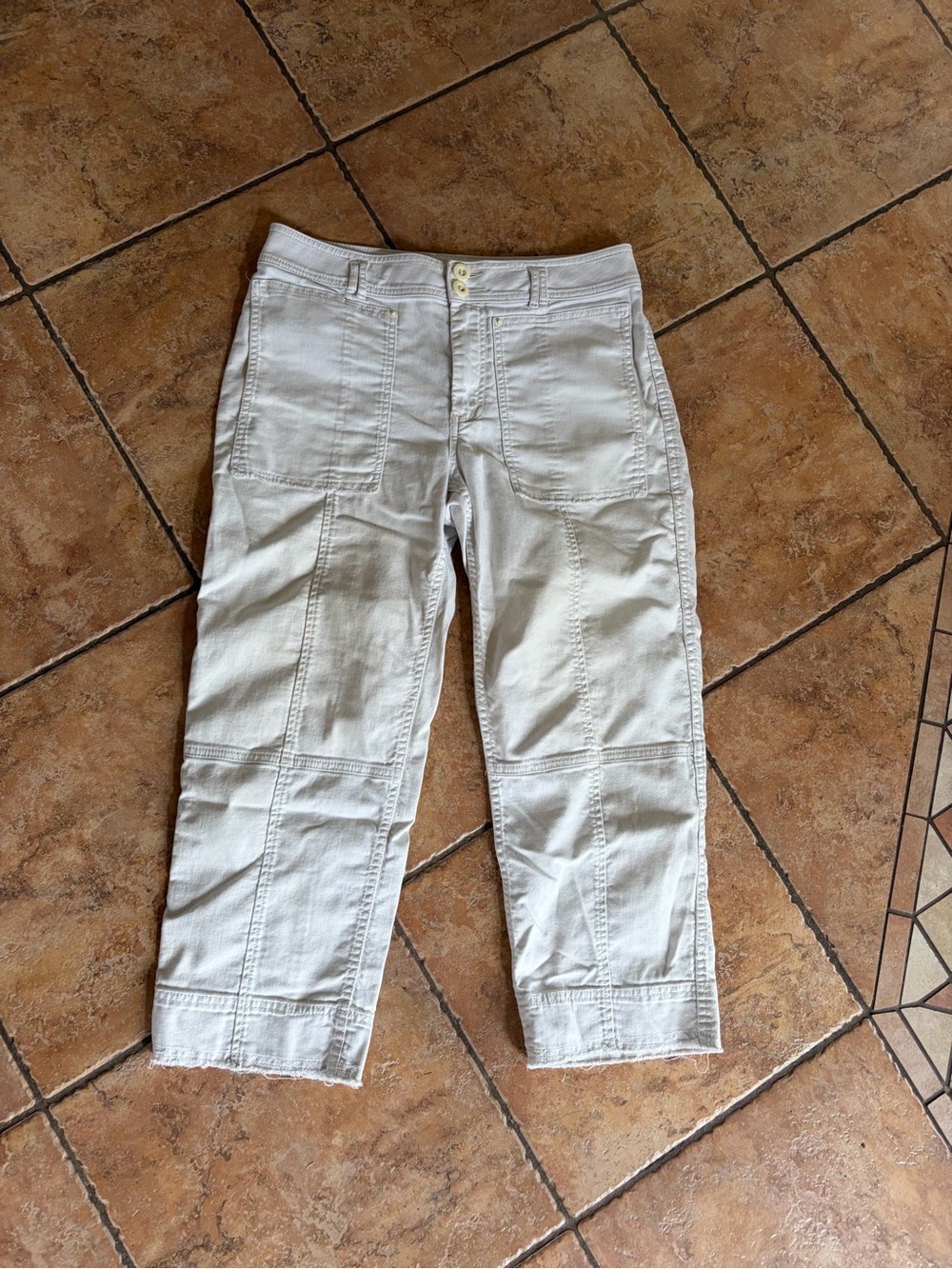 Anthropologie Size 29 waist Crop Pants